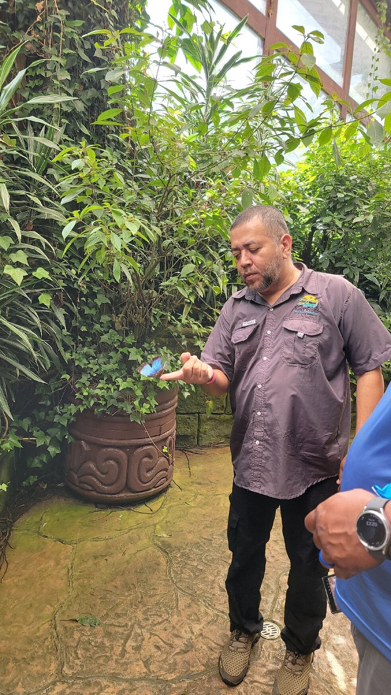 Costa Rica wildlife