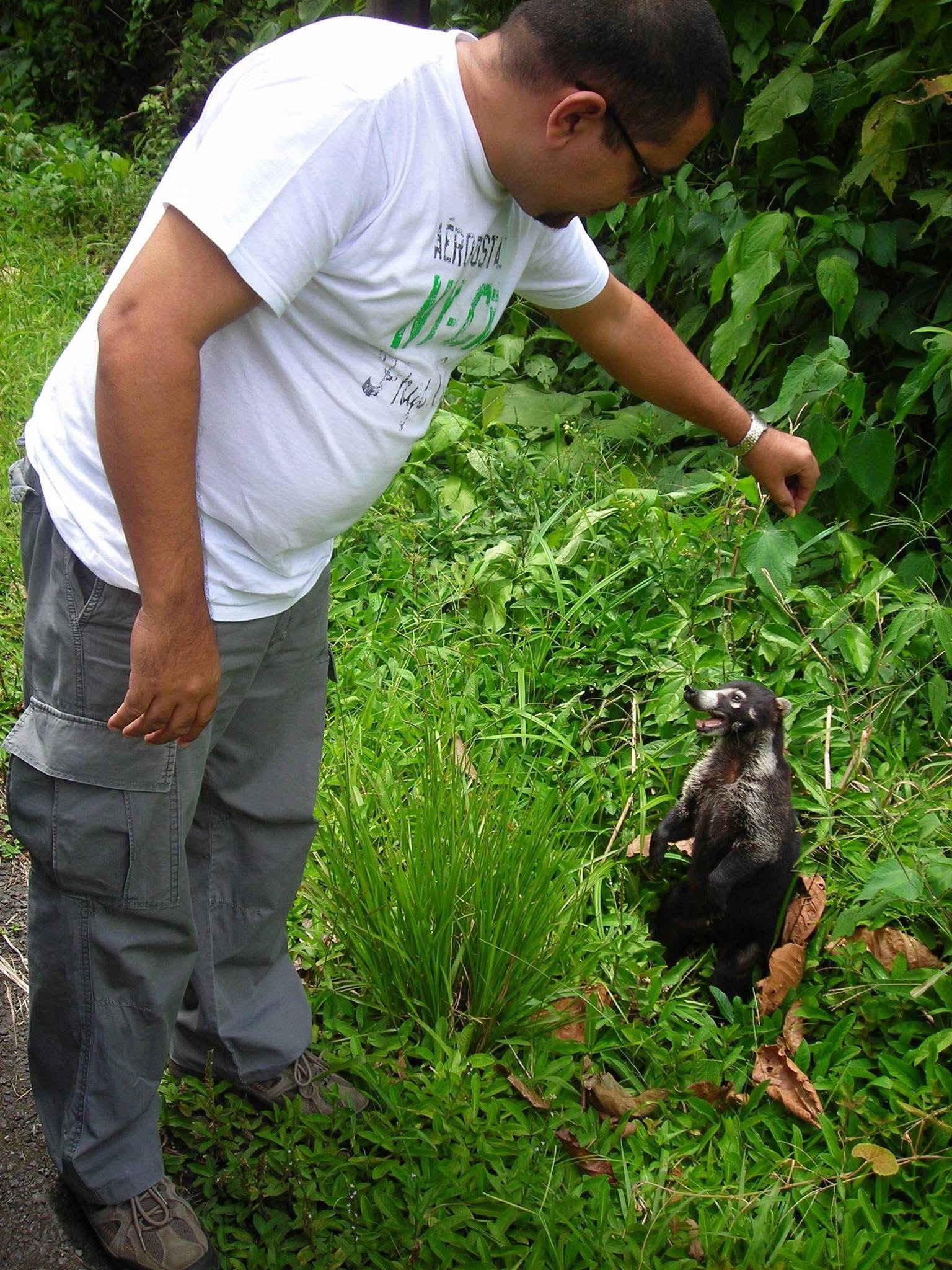 Costa Rica wildlife